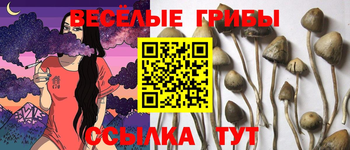 Галлюциногенные грибы мицелий Вятские Поляны